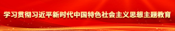 嫩逼被操网站学习贯彻习近平新时代中国特色社会主义思想主题教育