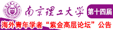 无码插逼南京理工大学第十四届海外青年学者紫金论坛诚邀海内外英才！